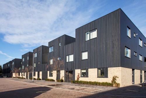 Case Study Developer Virido8